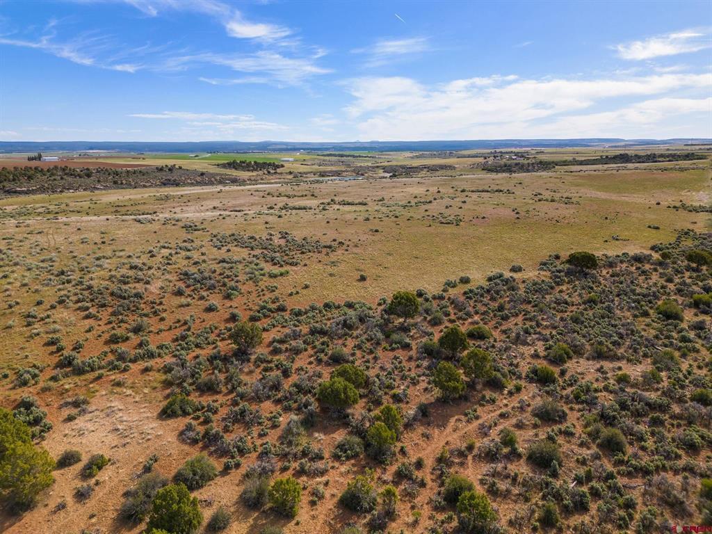 Tbd Highway 491 Property Photo 14