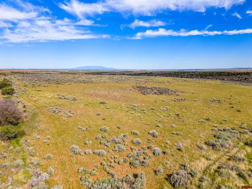 Tbd Highway 491 Property Photo 16