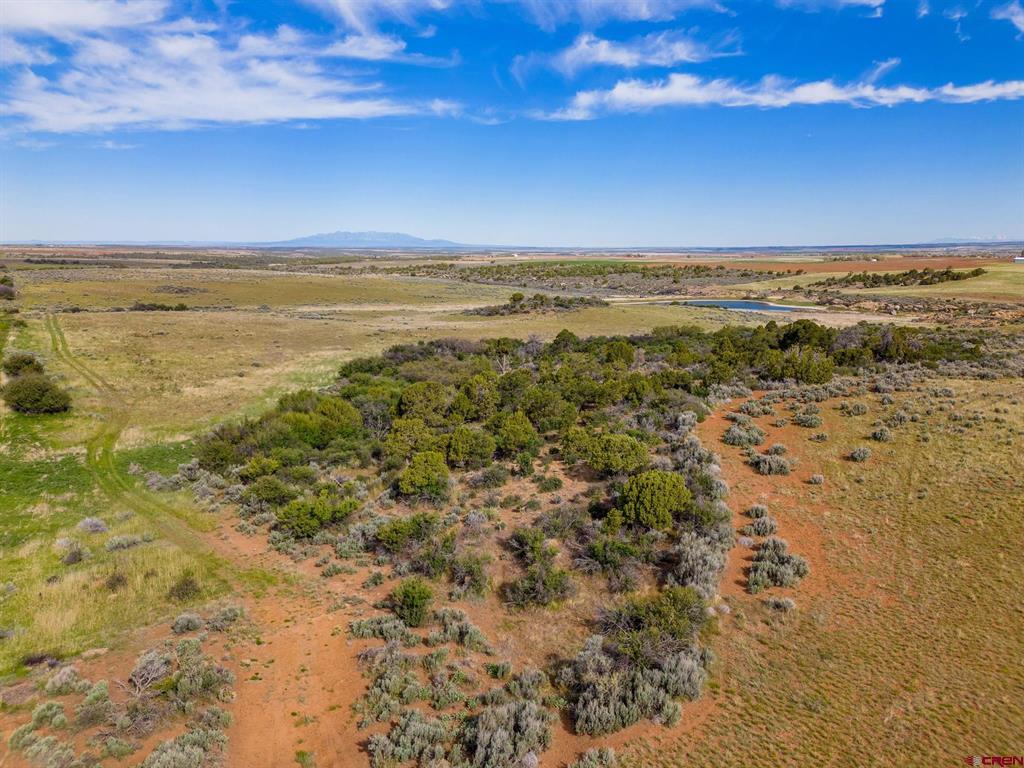 Tbd Highway 491 Property Photo 18