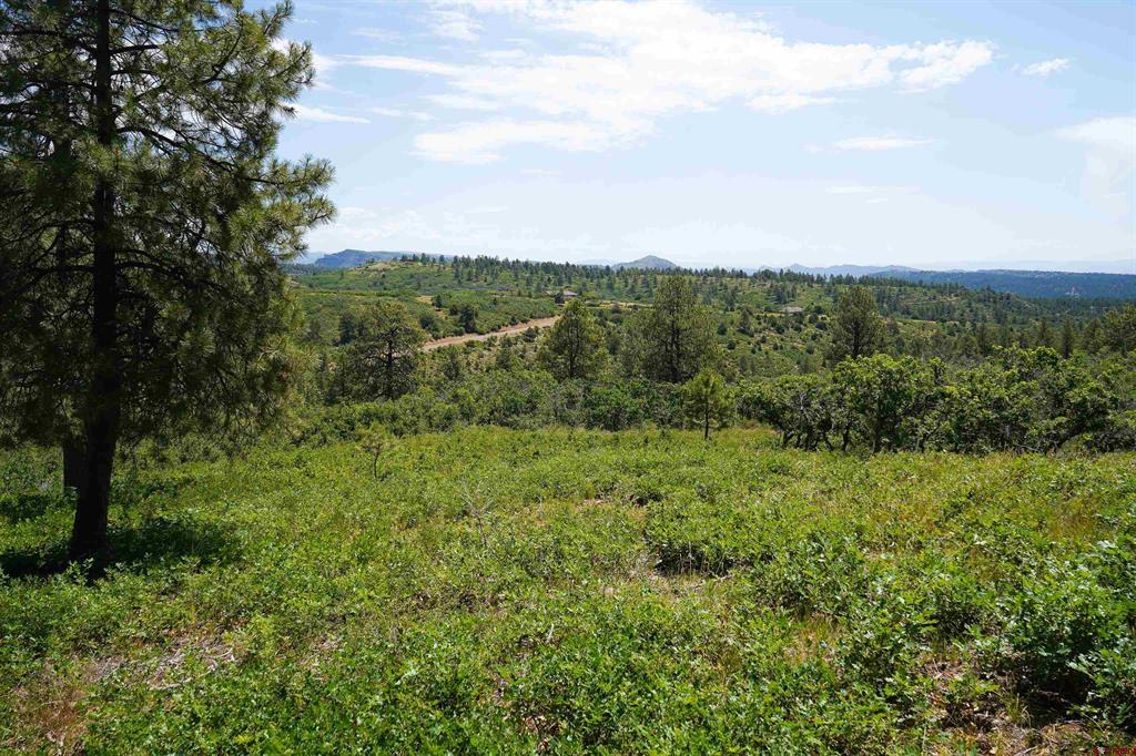 224 W Durango Ridge Property Photo 4