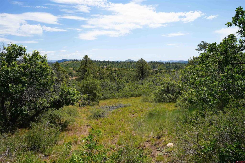 224 W Durango Ridge Property Photo 11