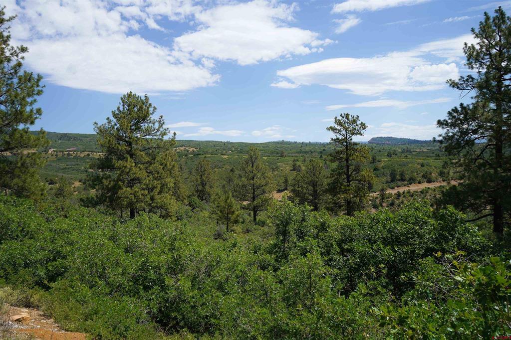 224 W Durango Ridge Property Photo 12