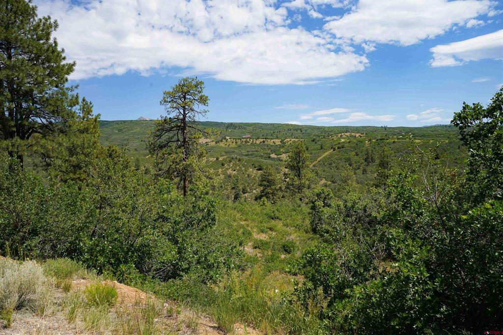 224 W Durango Ridge Property Photo 13