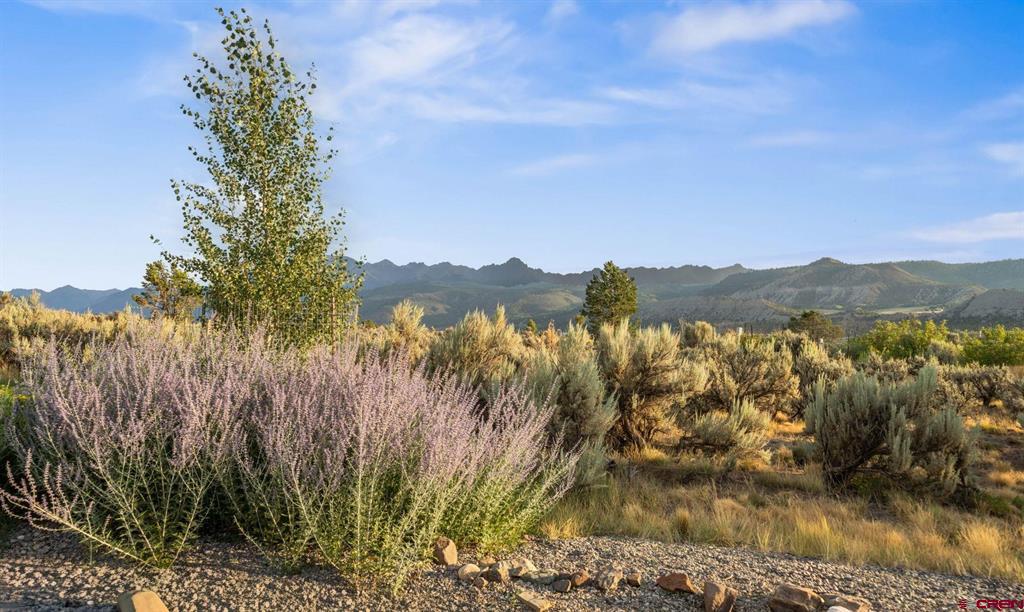 800 Golden Eagle Trail Property Photo 2