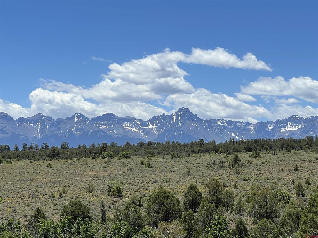 344 & 364 Jumping Tree Trail Property Photo 42