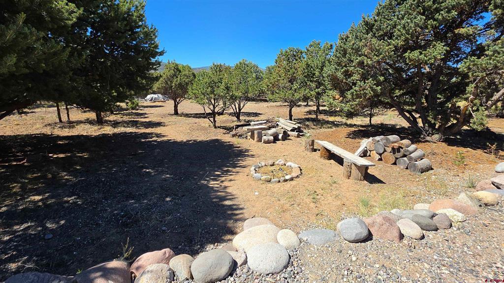 391 Wolf Creek Road Property Photo 17