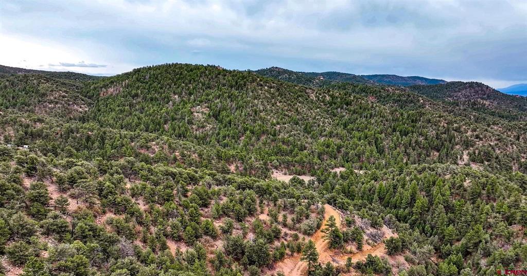 2057 Horse Thief Gulch Road Property Photo 6