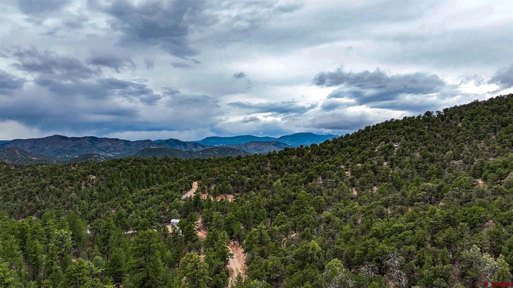 2057 Horse Thief Gulch Road Property Photo 10
