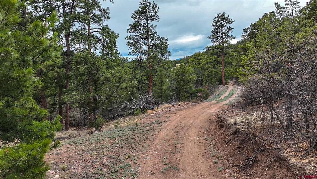 2057 Horse Thief Gulch Road Property Photo 14