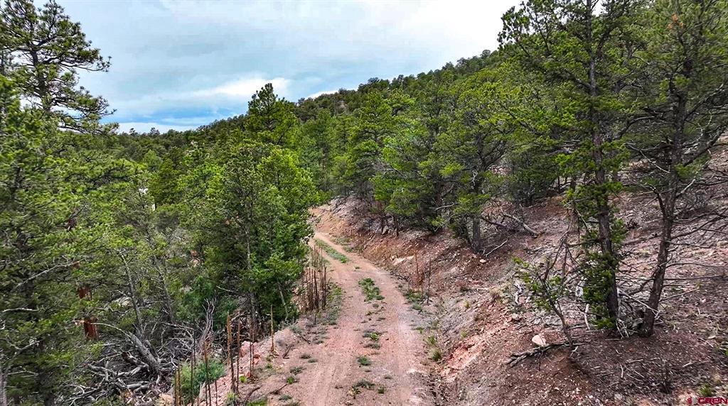 2057 Horse Thief Gulch Road Property Photo 15