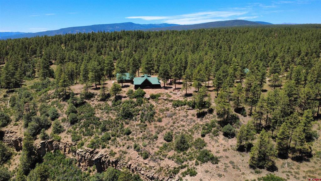 2180 Backcountry Drive Property Photo 43