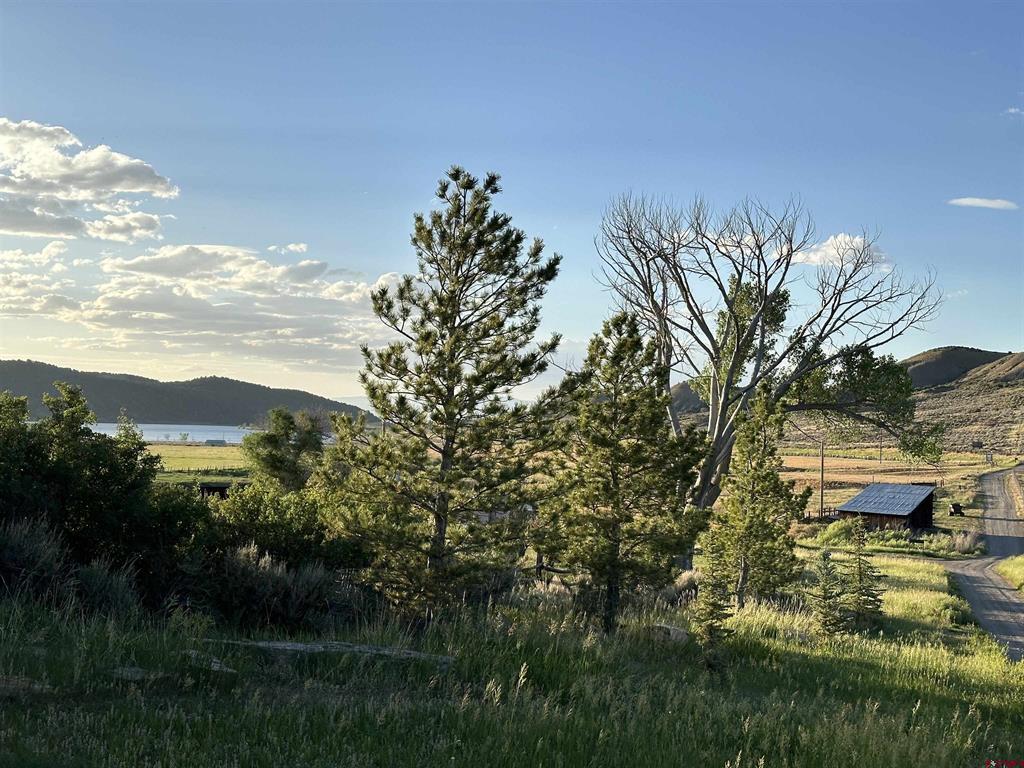 81438 92 Highway Property Photo 39