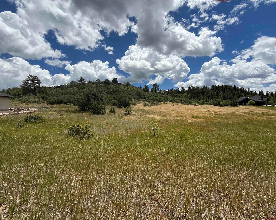 213 Dylan Drive Property Photo 1