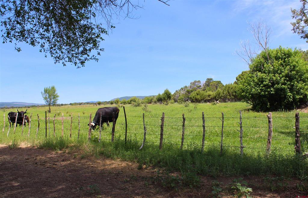 15574 2900 Road Property Photo 35
