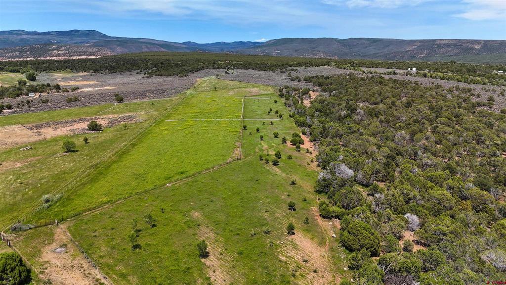 15574 2900 Road Property Photo 39