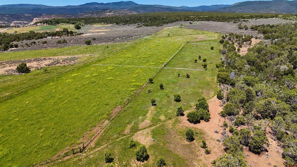 15574 2900 Road Property Photo 41