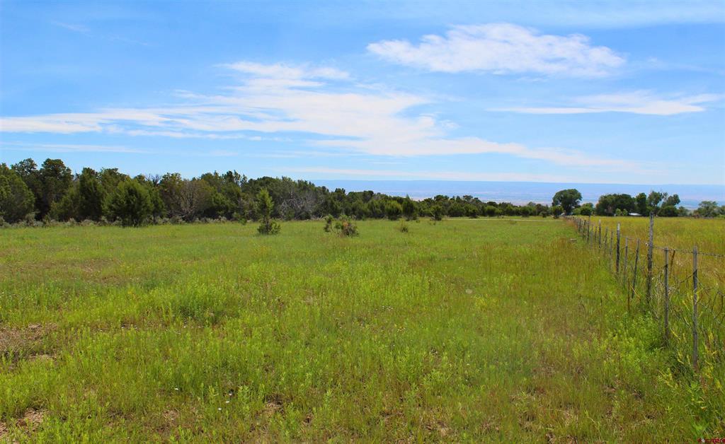 15574 2900 Road Property Photo 43