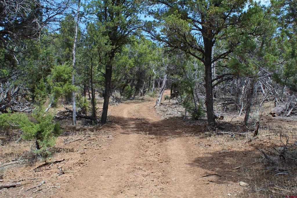 15574 2900 Road Property Photo 44