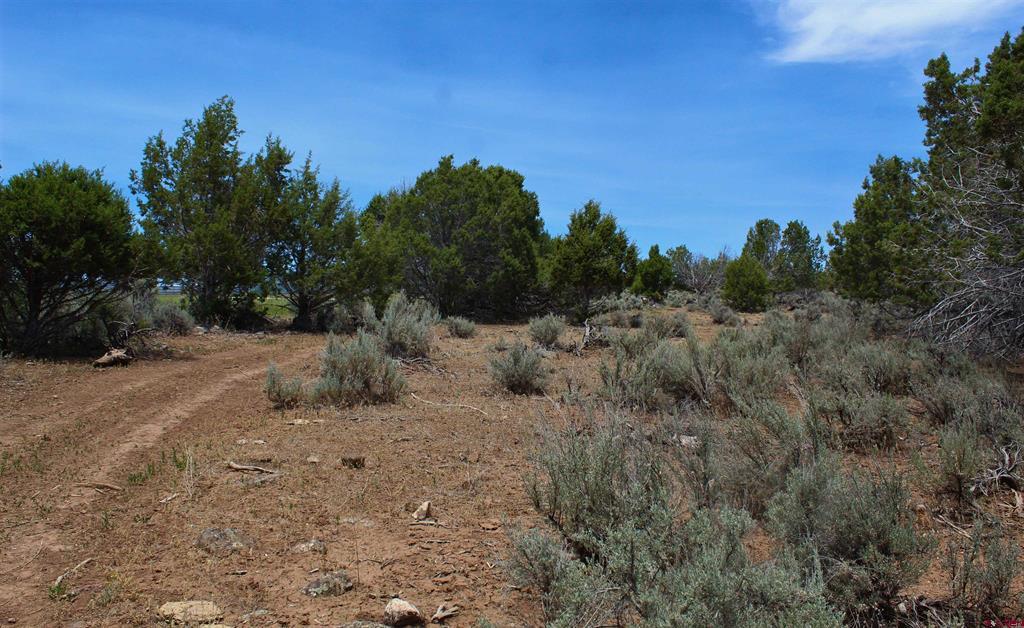 15574 2900 Road Property Photo 45