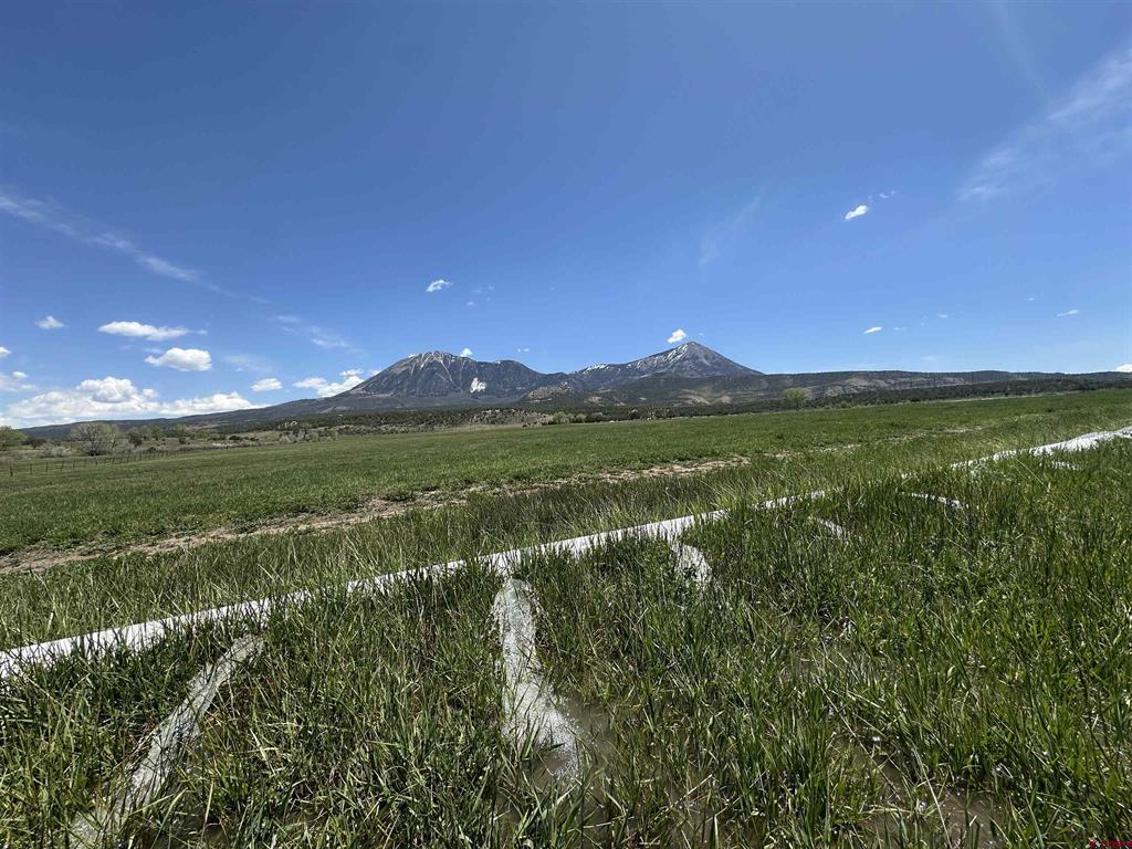 11456 Crawford Road Property Photo 4