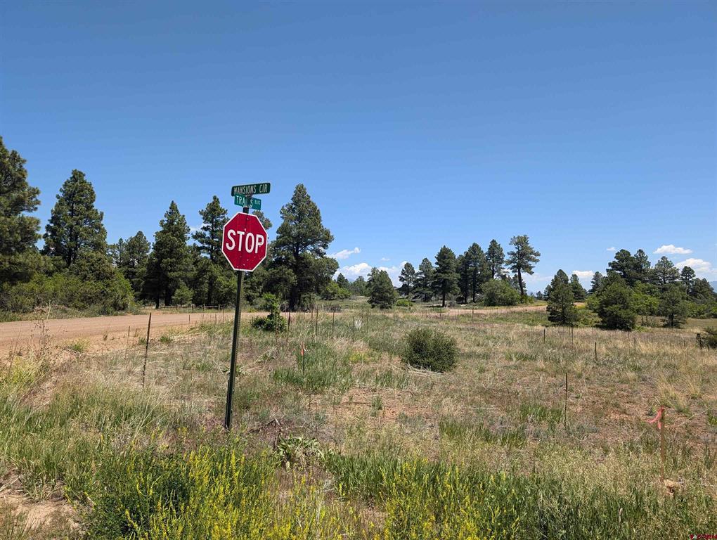 16 Mansions Circle Property Photo 3