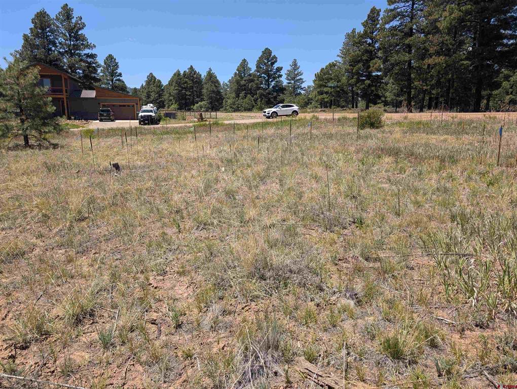 16 Mansions Circle Property Photo 11