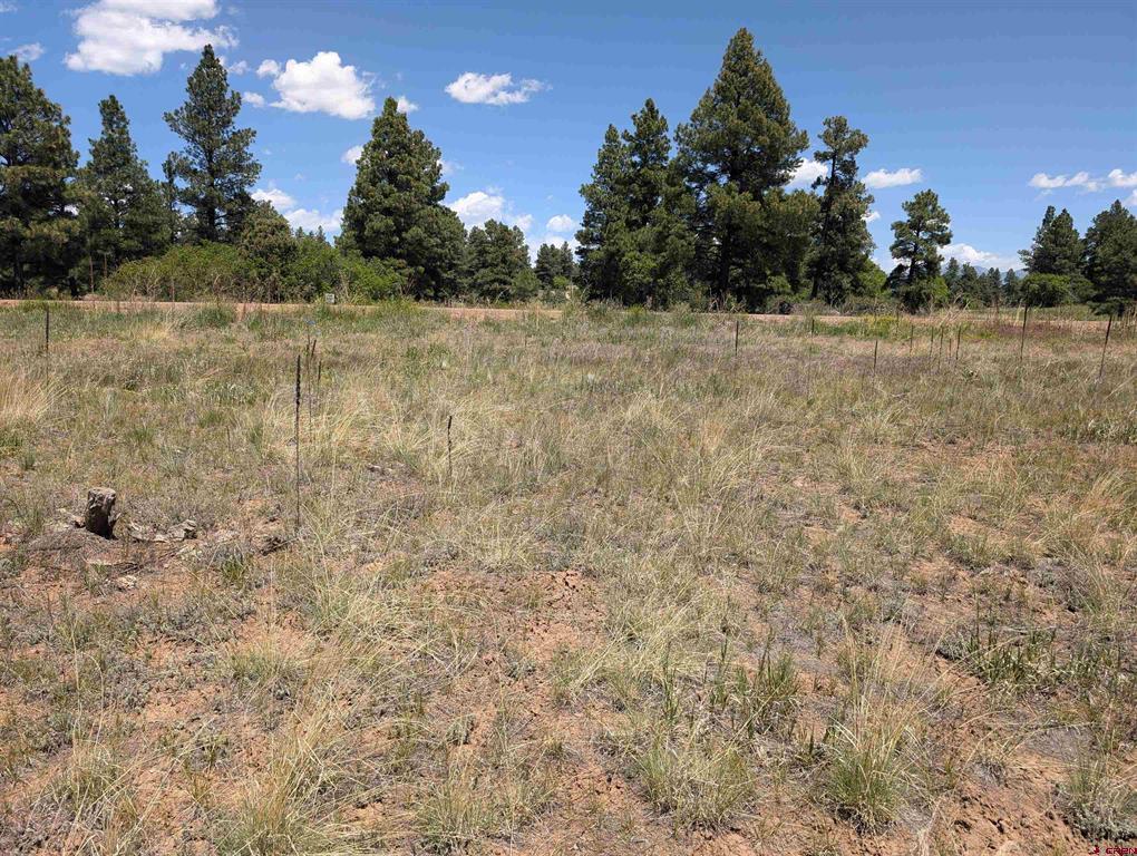 16 Mansions Circle Property Photo 12