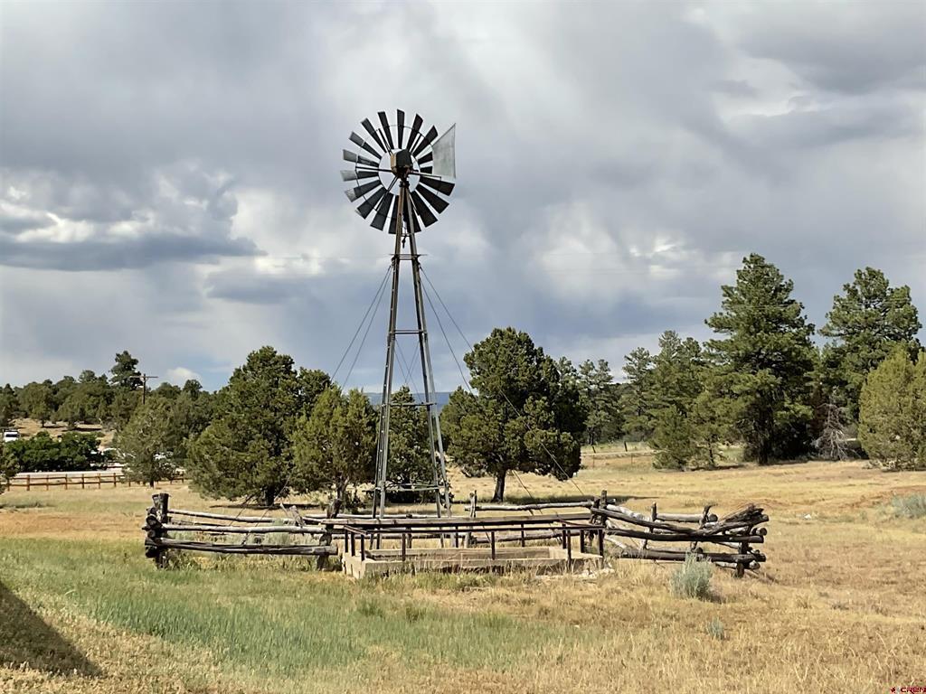 61 Windmill Property Photo 5