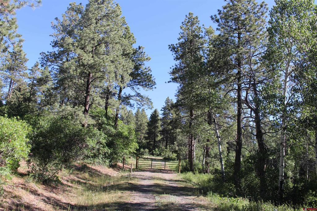 1422 Needles View Place Property Photo 2