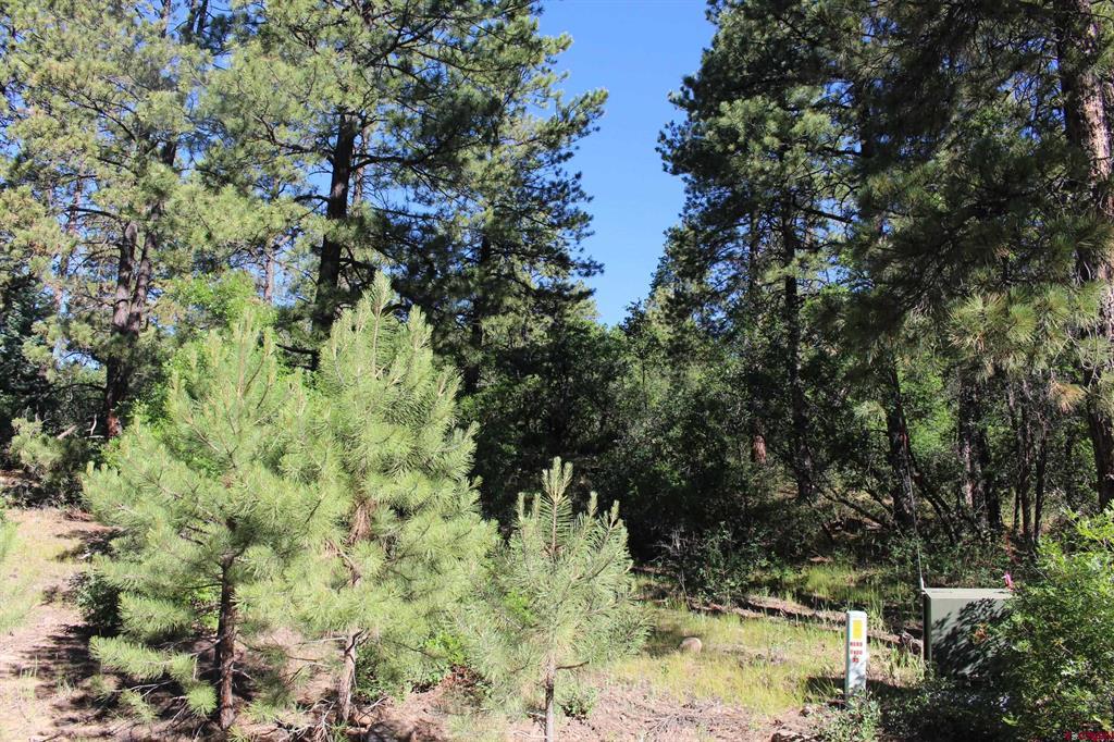 1422 Needles View Place Property Photo 3