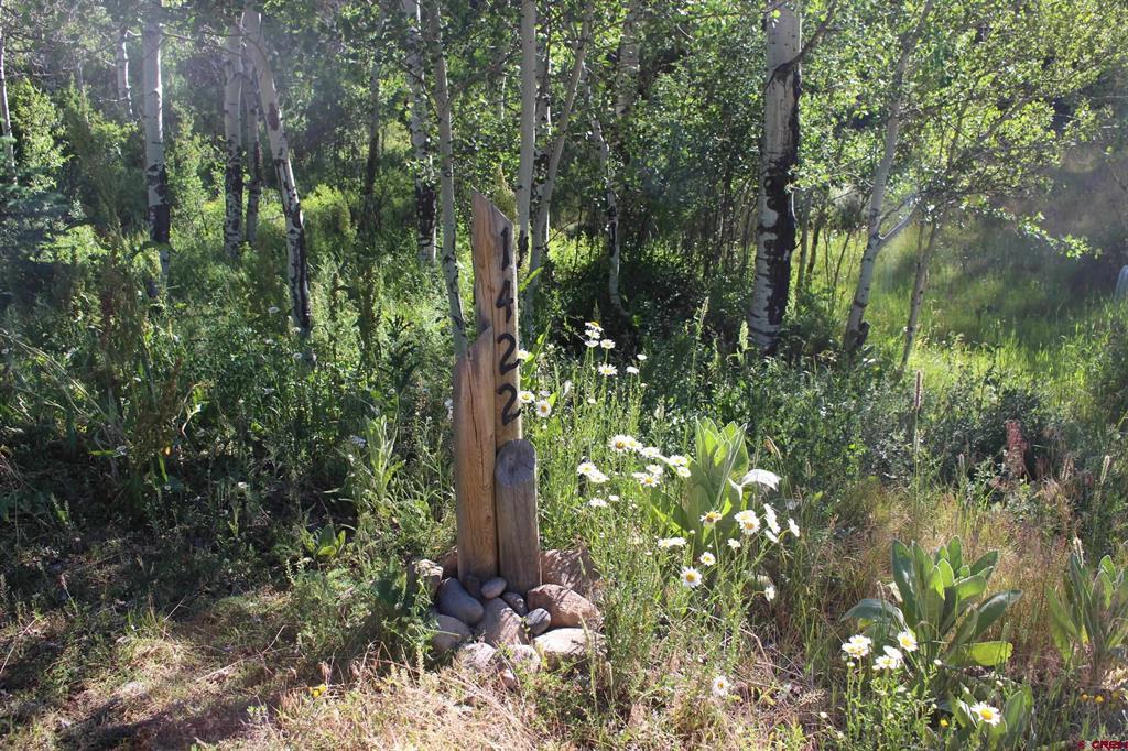 1422 Needles View Place Property Photo 6