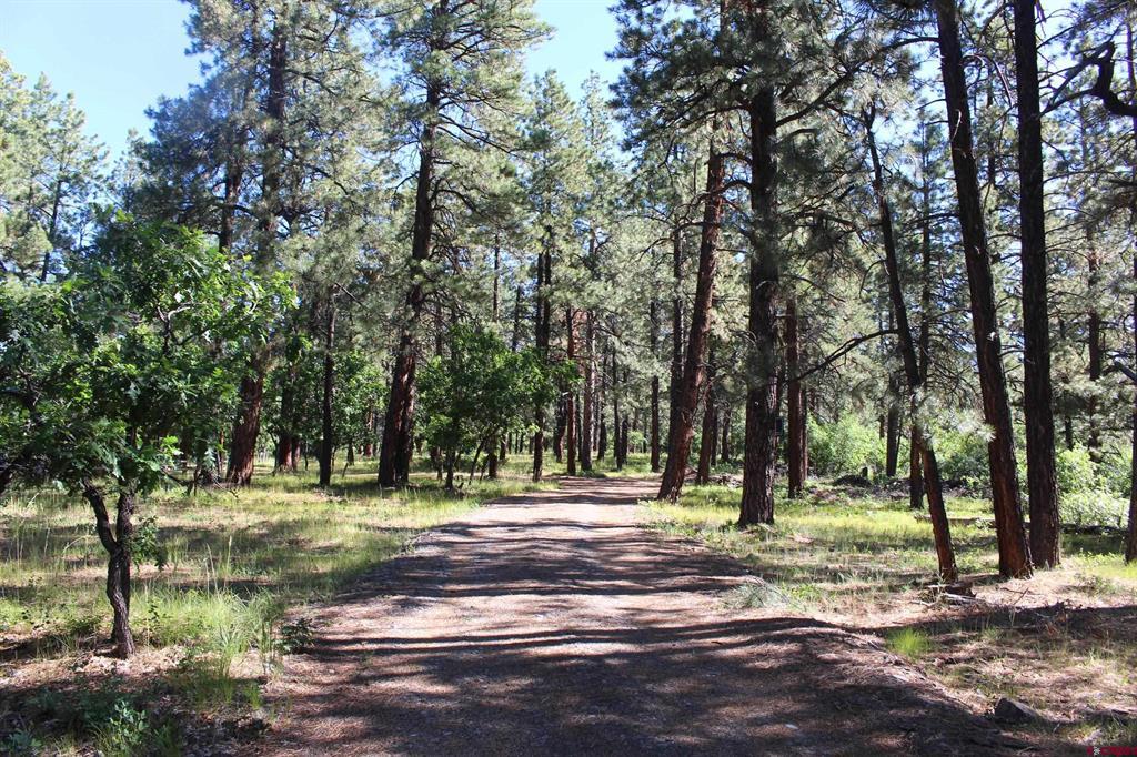 1422 Needles View Place Property Photo 7