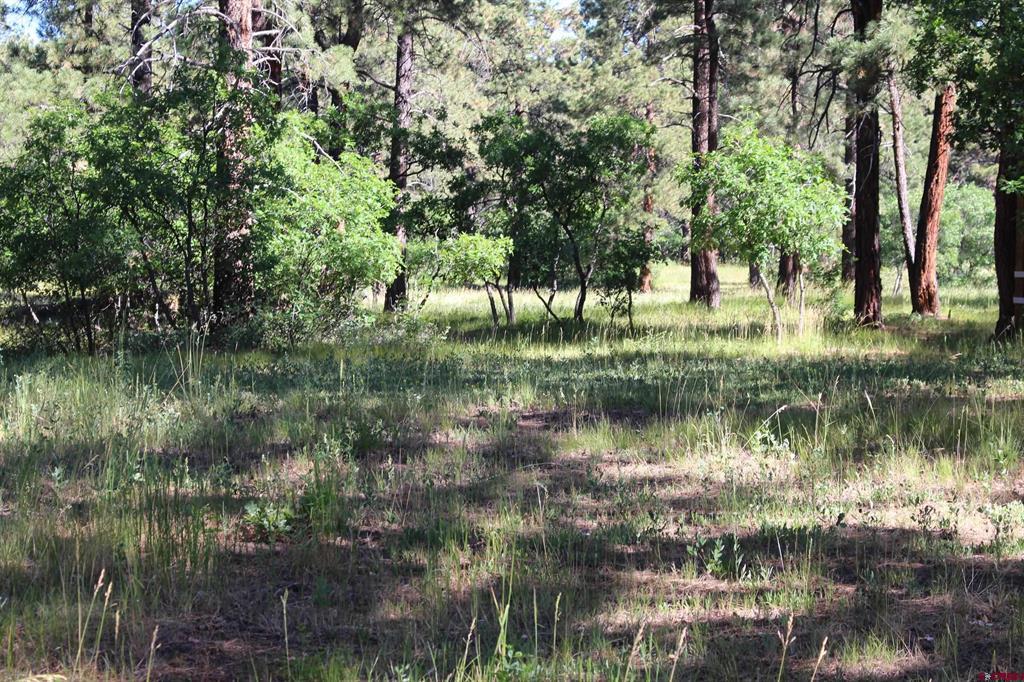 1422 Needles View Place Property Photo 8