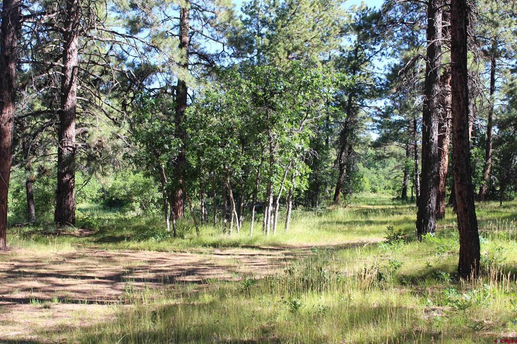 1422 Needles View Place Property Photo 12