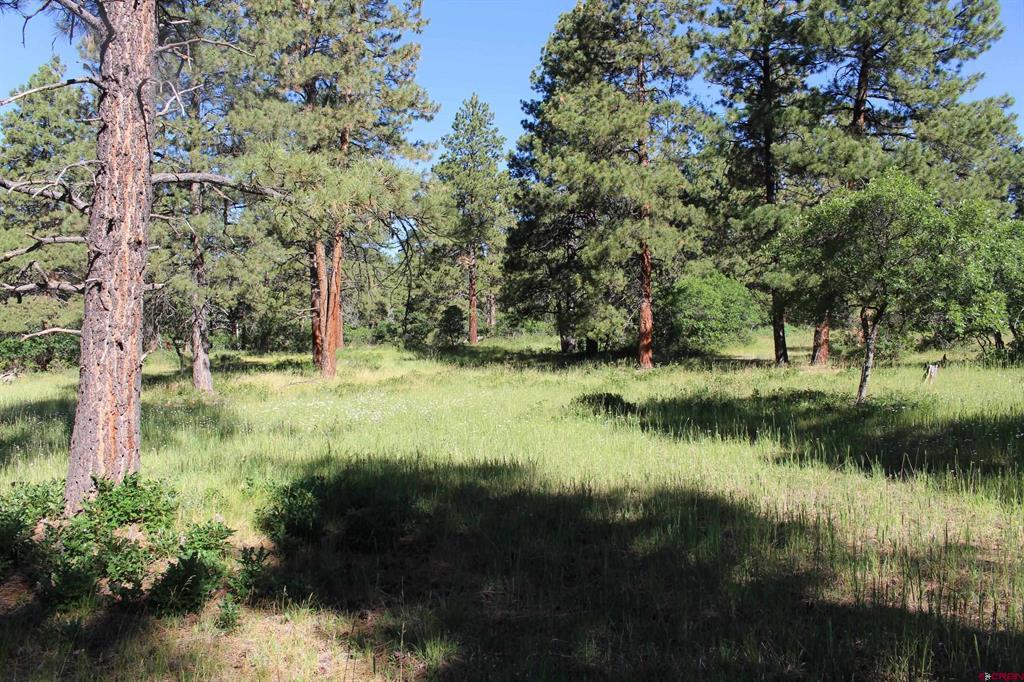 1422 Needles View Place Property Photo 17
