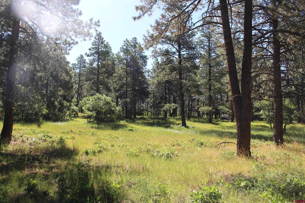1422 Needles View Place Property Photo 19