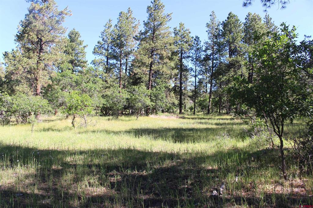 1422 Needles View Place Property Photo 20