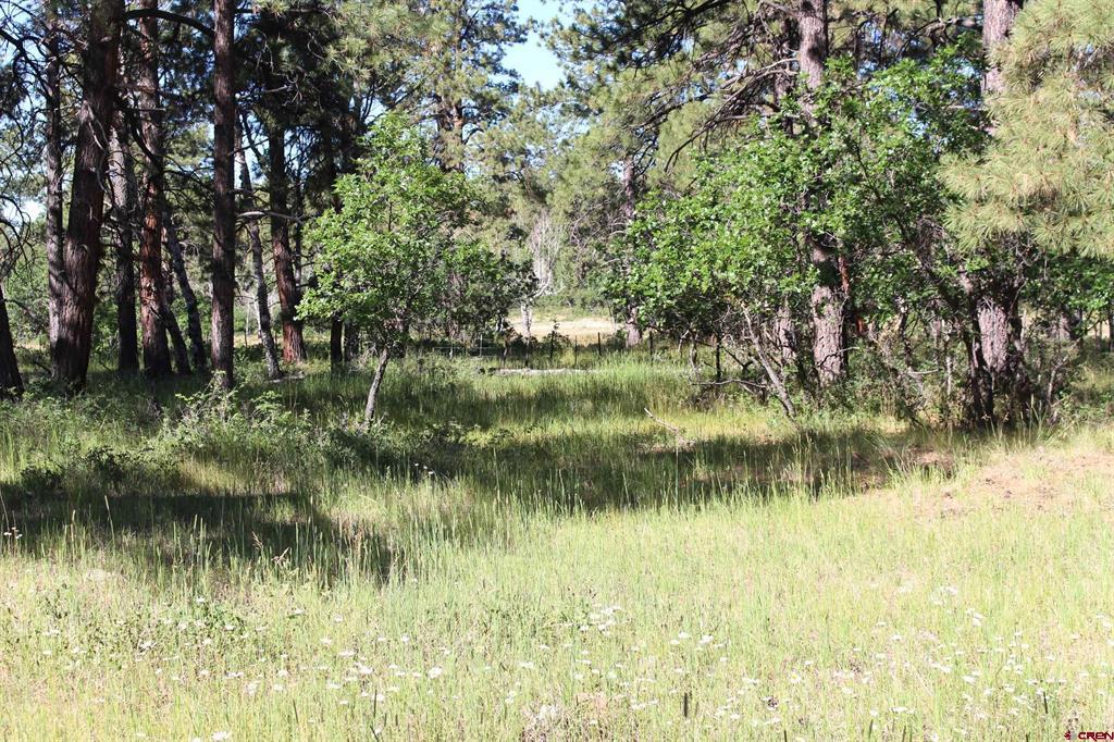 1422 Needles View Place Property Photo 21
