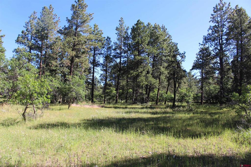 1422 Needles View Place Property Photo 22