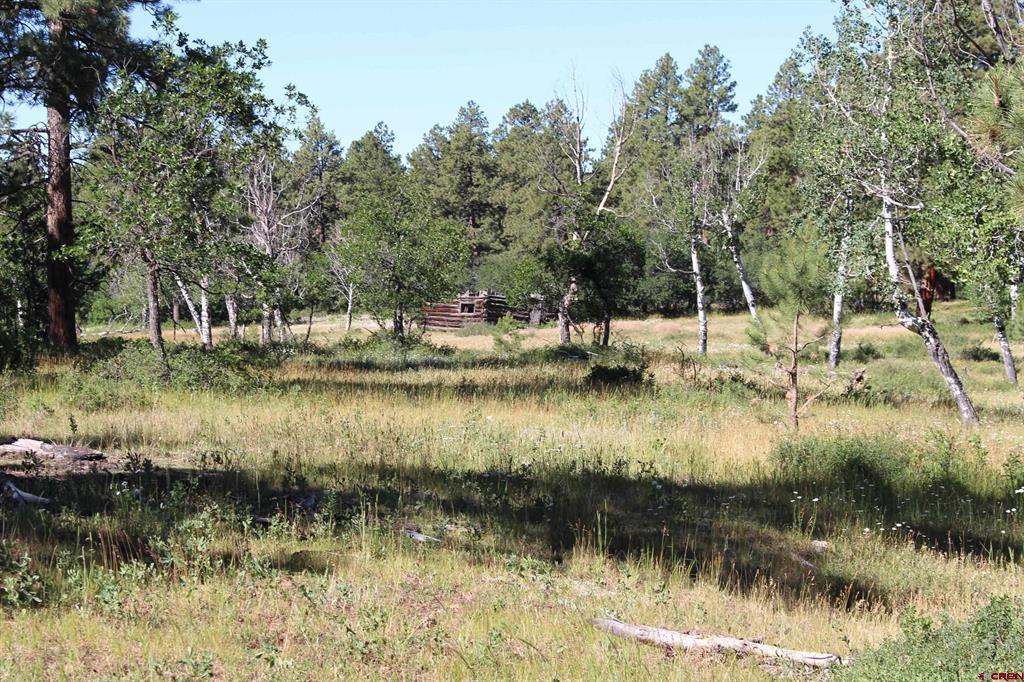 1422 Needles View Place Property Photo 23