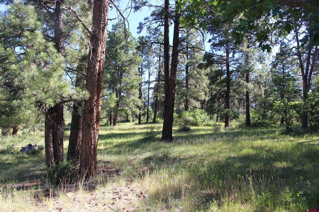 1422 Needles View Place Property Photo 25