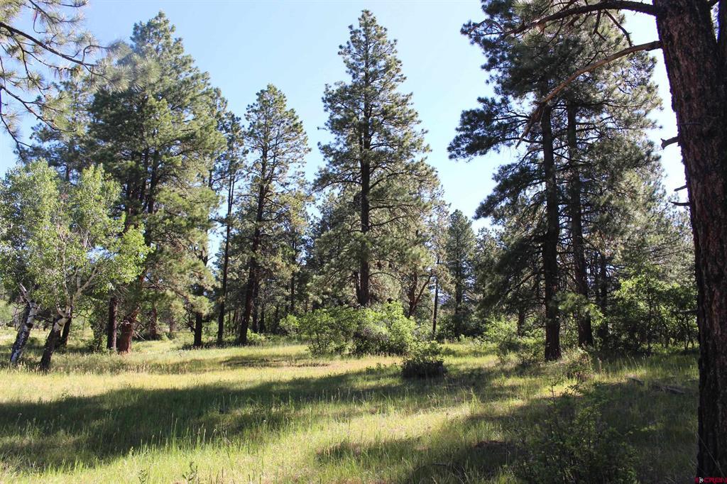 1422 Needles View Place Property Photo 26