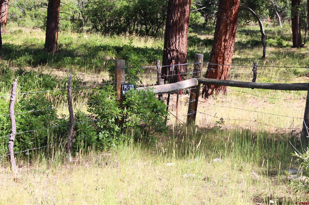 1422 Needles View Place Property Photo 29