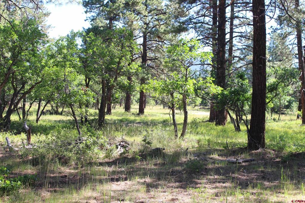 1422 Needles View Place Property Photo 32