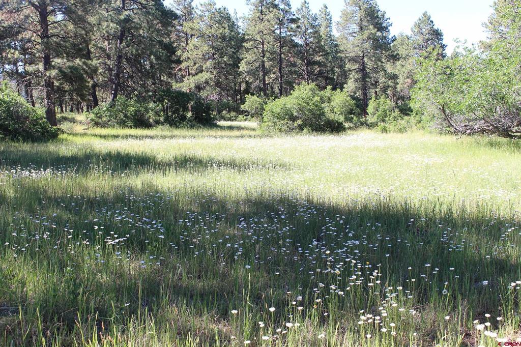1422 Needles View Place Property Photo 33