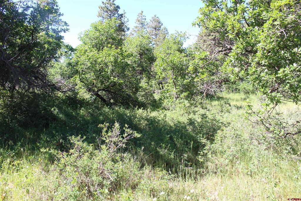 1422 Needles View Place Property Photo 36
