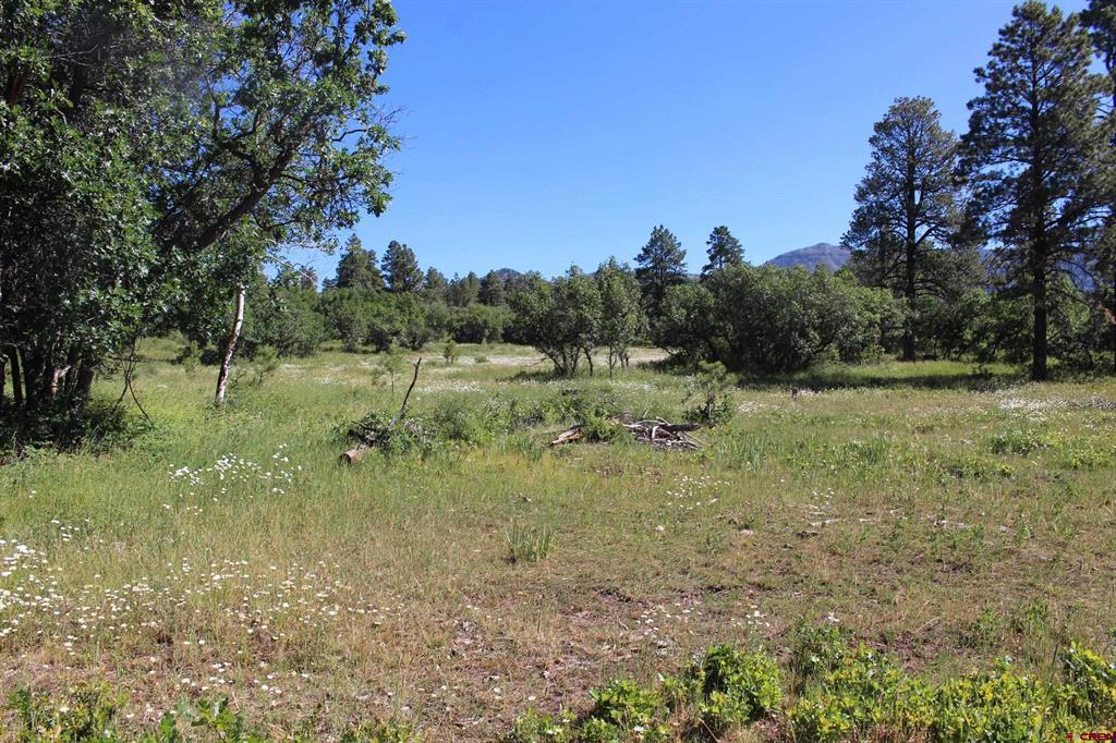 1422 Needles View Place Property Photo 37