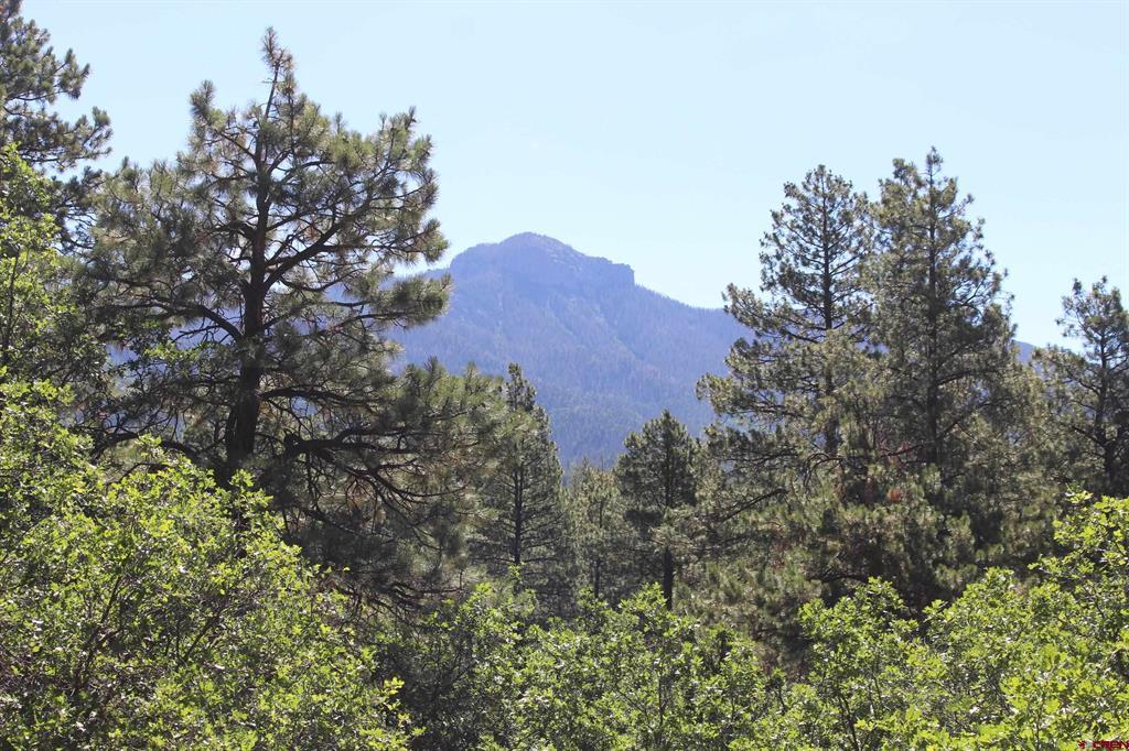 1422 Needles View Place Property Photo 40