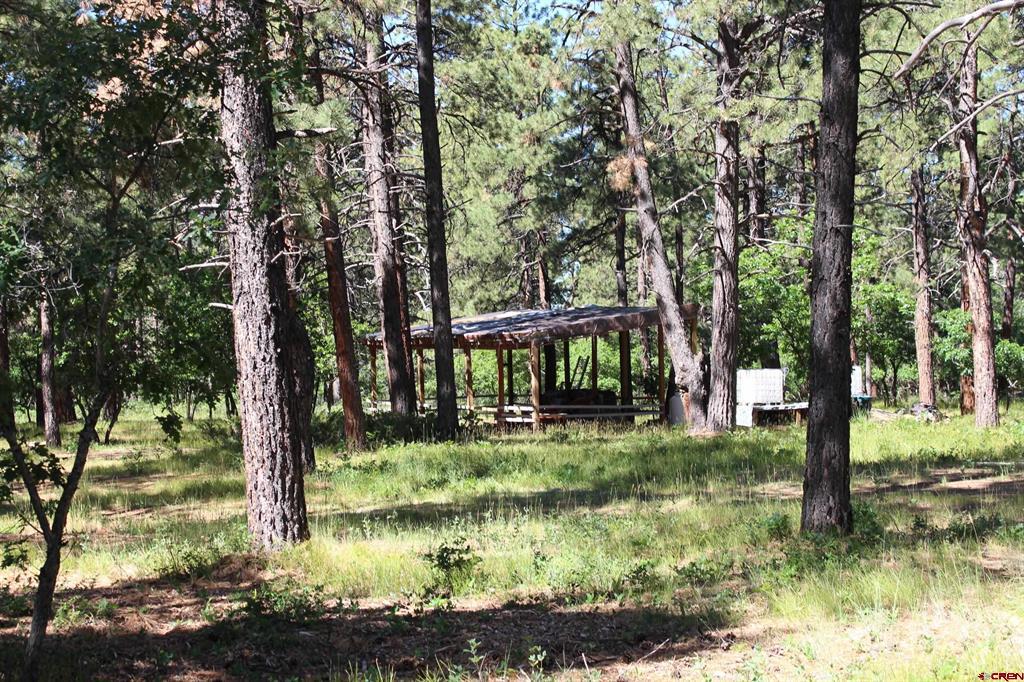 1422 Needles View Place Property Photo 41