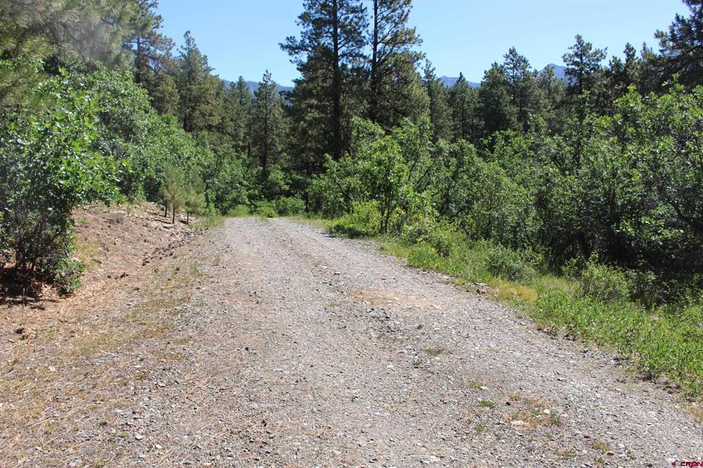1422 Needles View Place Property Photo 44